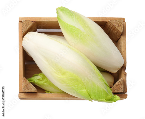 Raw chicories in wooden crate on white background, top view photo