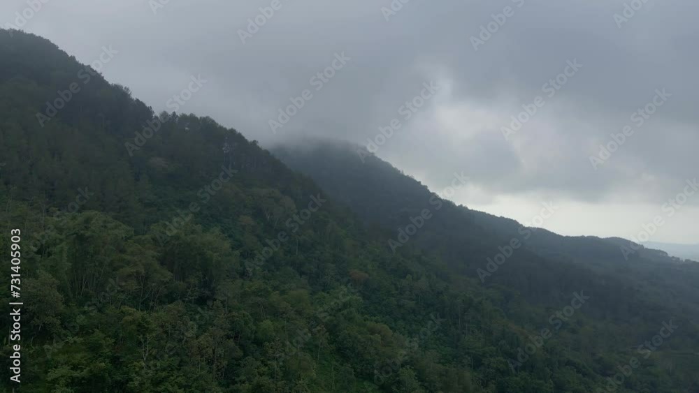 Aerial view of rainforest on the mountain slope in foggy morning. Aerial view of rainforest on the mountain slope in foggy morning.