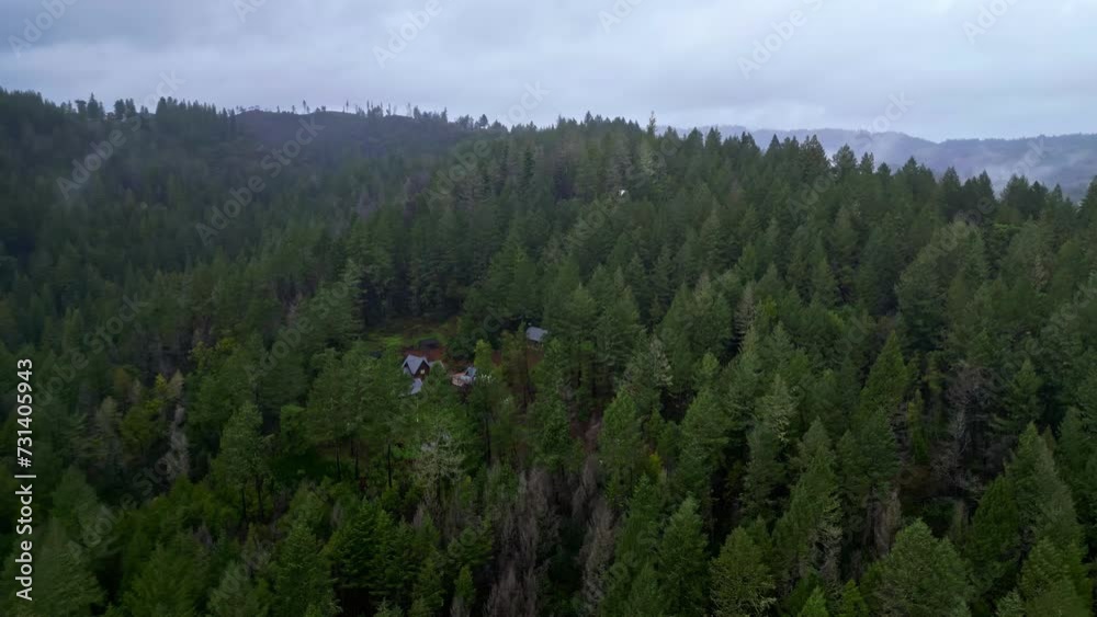 Forest Lodging Amidst Redwood Trees In Muir Woods National Monument In Marin County, California. aerial shot Forest Lodging Amidst Redwood Trees In Muir Woods National Monument In Marin County, California. aerial shot