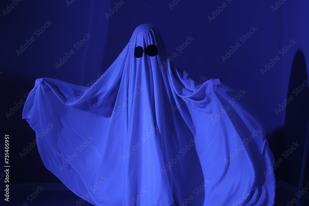 Creepy ghost. Woman covered with sheet in blue light Creepy ghost. Woman covered with sheet in blue light