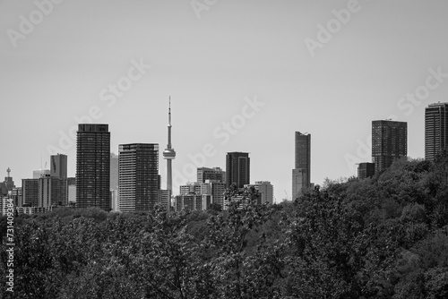 Toronto city skyline with trees, Black and White