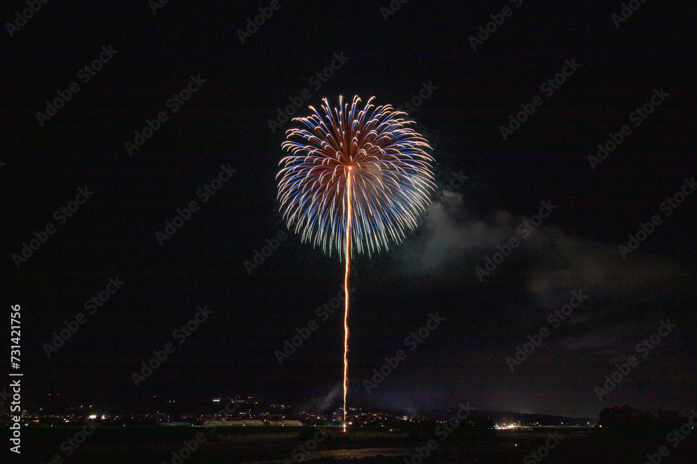 南信州花火 南信州花火