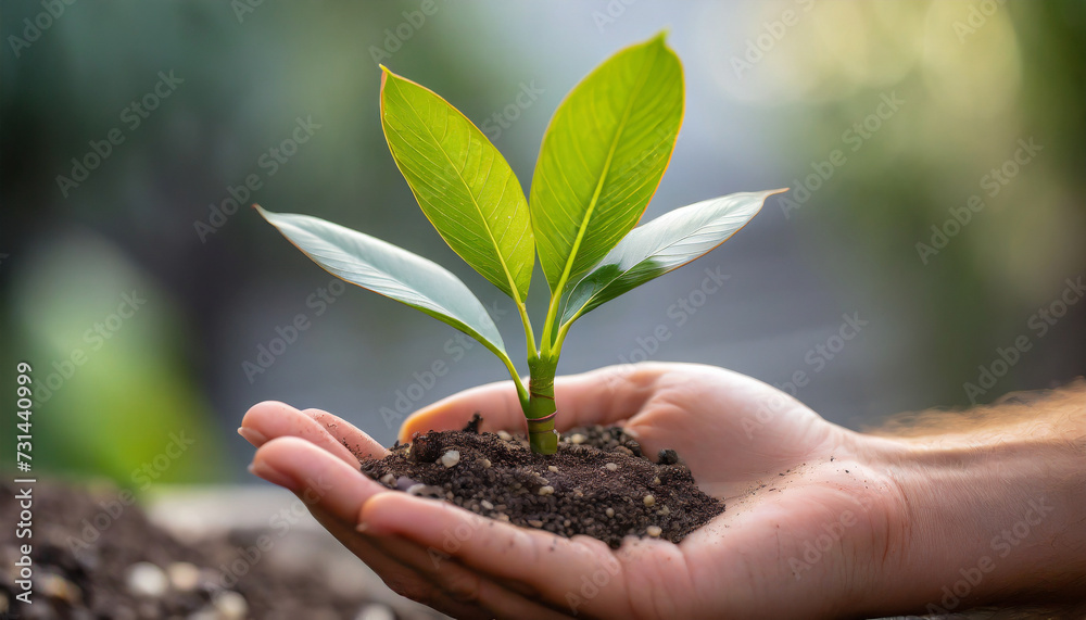 Close up of a hand palm with leaves growing from it Close up of a hand palm with leaves growing from it