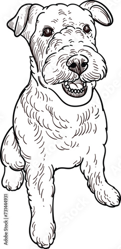 Fotografie Vintage hand drawn sketch of Lakeland Terrier