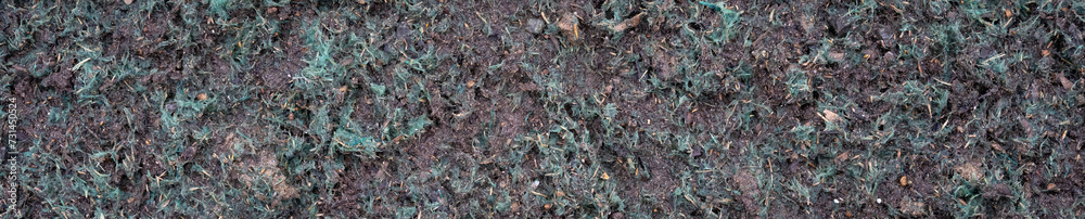 Closeup of professionally applied hydroseeding, mix of grass seed and wood pulp freshly applied to dirt in a new residential community
Closeup of professionally applied hydroseeding, mix of grass seed and wood pulp freshly applied to dirt in a new residential community