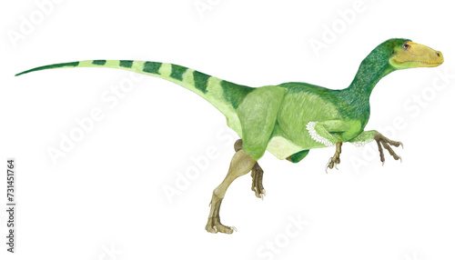 小型恐竜フクイヴェナートル。日本で発見された現在では純粋な肉食ではなく雑食性と考えられ、いくつかの種につながる可能性のあるマニラプトル形類とされる。日本の恐竜シリーズの4番目として描いた。福井県北谷（キタダニ）での産出 © Mineo