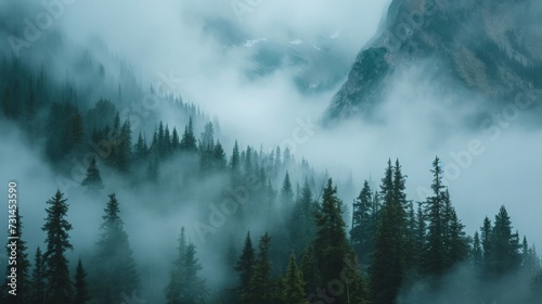 Foggy mountain landscape