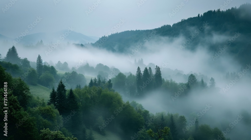 Foggy mountain landscape