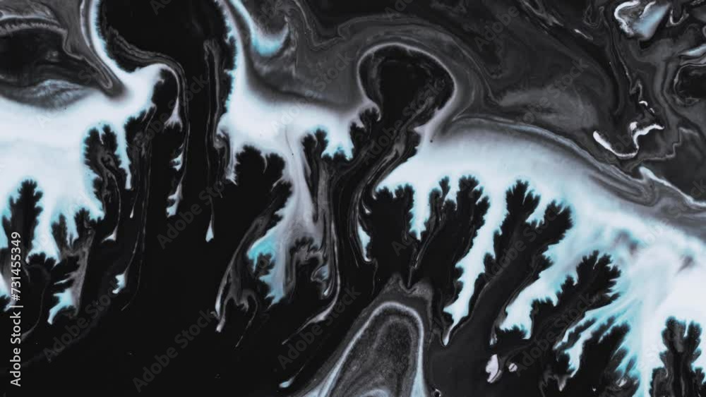 Abstract art come to life footage. Fluid motion of white and black, creating textured fractals in constant flux. The flowing effect of the liquid paint with pattern swirls.