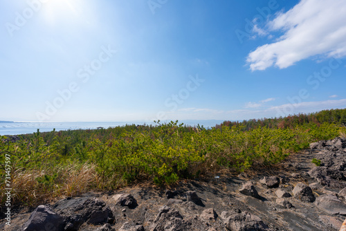 鹿児島 桜島の風景 有村溶岩展望所