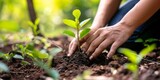 Community Initiatives: Experience the power of community led initiatives that strive to make a difference. Tree planting events are the global mission to protect our environment