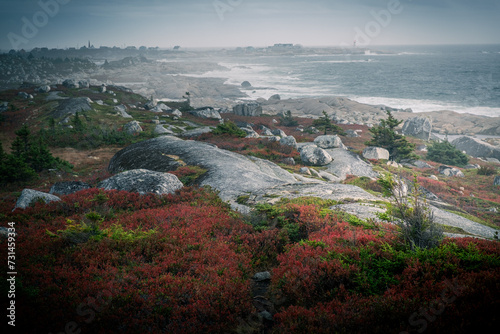 Photos Granite boulders and wild flowers on a foggy day on the Atlantic Coast of Nova S