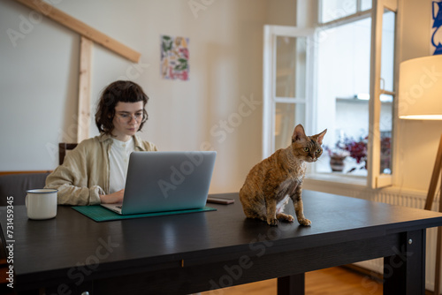 Short-haired ginger purebred cat Devon rex sitting on table, wants to play, busy woman works on laptop computer as freelancer, studies online. Pet lover and domestic animal relations