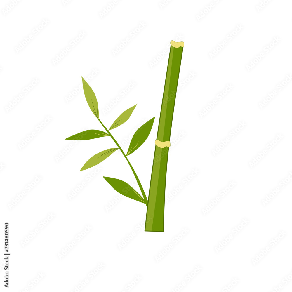 Fototapeta premium Bamboo leaves 