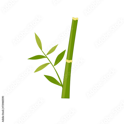 Fototapeta Naklejka Na Ścianę i Meble -  Bamboo leaves 