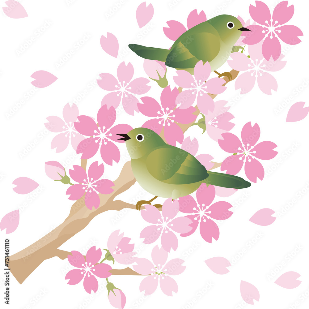 メジロ　鳥　春　さくら　桜　お花見　あしらい　飾り　シンプル　かわいい　イラスト素材