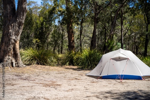 camper trailer tent set up camping in a park in the forest on a hoilday in australia © William