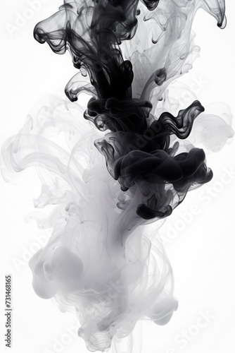 black ink in water on a white background. abstract background. monochrome