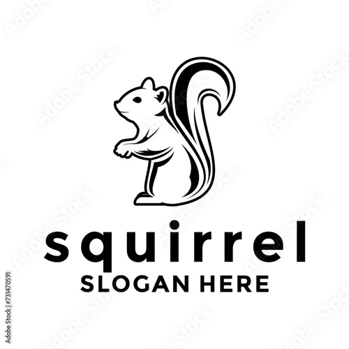 squirrel vector logo design. modern line art squirrel logo template