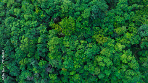 aerial view of dark green forest Abundant natural ecosystems of rainforest. Concept of nature forest preservation and reforestation  © Photo Sesaon