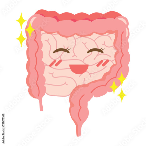 healthy stomach and intestine cartoon vector