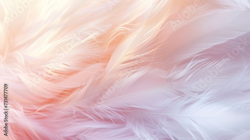 Beautiful Blur Bird chicken feather texture for background Abstract, soft color. photo
