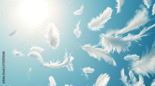Close-up Abstract white feathers falling in blue sky