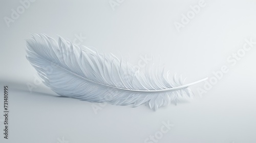 white dove feather clipping path on white Isolated background.