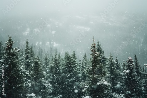 A picturesque winter scene showcasing a dense forest covered in a blanket of snow, A blizzard obscuring the view of a once vivid evergreen forest, AI Generated