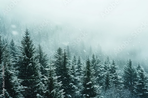 Winter Forest With Snow-Covered Trees in a Dense Woodland Landscape, A blizzard obscuring the view of a once vivid evergreen forest, AI Generated