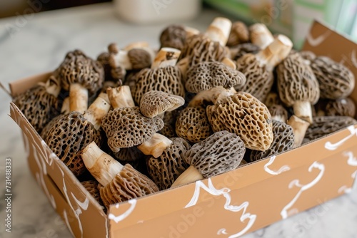 A collection of various mushrooms enclosed in a box placed on top of a table, A box of fresh Morel mushrooms on a kitchen table, AI Generated