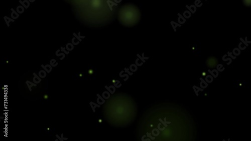 fireflies light animation, black background, loop
