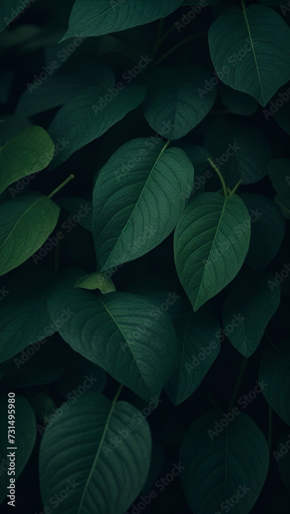 green leaves background green leaves background