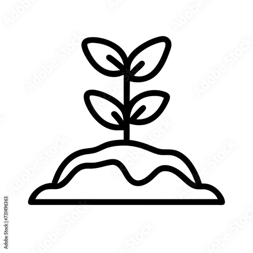 root emerging from soil