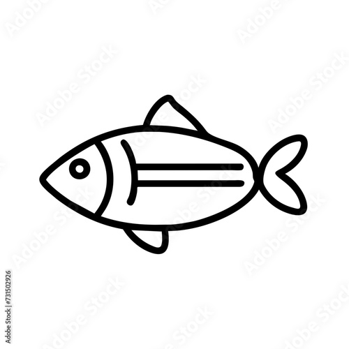 fish on a white background