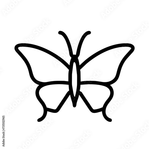 butterfly illustration