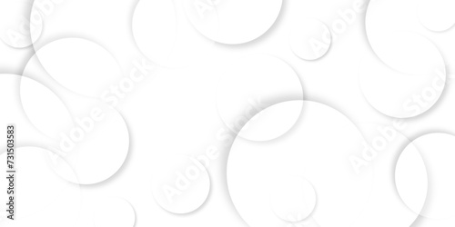 Abstract background with circle white abstract geometric background with soft light white paper circles in design .Gray abstract. Modern design background for report and project presentation template.