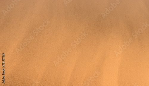 Morning Desert Dunes under Sunlit Sky