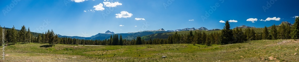 mountain tundra meadow panorama with forest and distant peaks