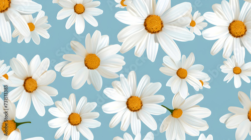 pattern with white daisies on blue background, floral wallpaper photo