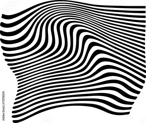 black and white stripes