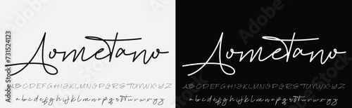 signature Font Calligraphy Logotype Script Brush Font Type Font lettering handwritten