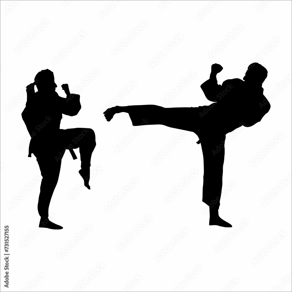 Martial arts silhouette Martial arts silhouette