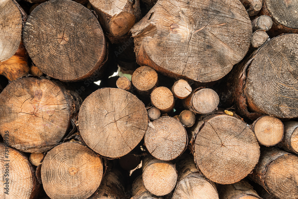 Wall made with a pile of chopped logs of different sizes. log pile background Wall made with a pile of chopped logs of different sizes. log pile background