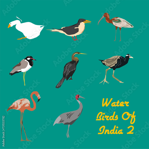 Vector illustration of set of water birds of India including Flamingo, Goose, Red Wattled Lapwing, Darter, Glossy Iris, Crane, Tern, Bronze winged Jacana photo