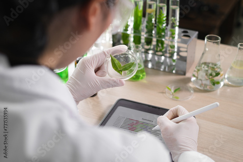 Принти на полотні Young Scientist woman, laboratory and test tube with plants, research and analysis of leaves for ecology