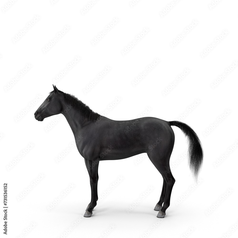 Black Horse Fur PNG