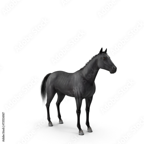 Black Horse Fur PNG © PNG 