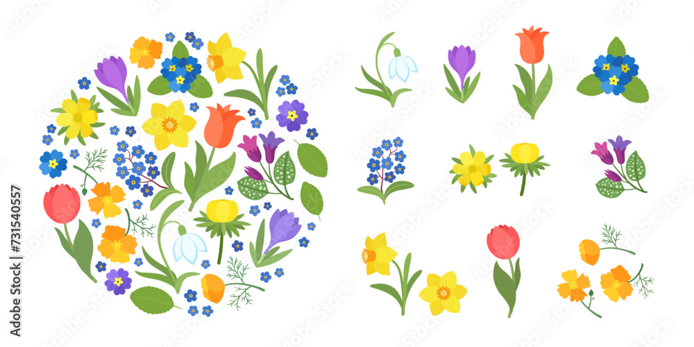 Spring flowers cartoon vector. Bright spring flower icons vibrant design, isolated and arranged in a circle frame. Cute illustration early springtime plants bloom - snowdrop, daffodil, crocus, tulip.