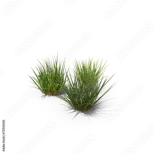 Purple Moor-Grass PNG